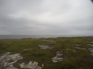 Photograph of Pinchard's Island, Newfoundland — August 20, 2017 at 5:00 PM