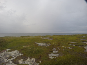Photograph of Pinchard's Island, Newfoundland — August 20, 2017 at 7:00 PM