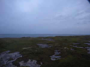 Photograph of Pinchard's Island, Newfoundland — August 20, 2017 at 8:00 PM