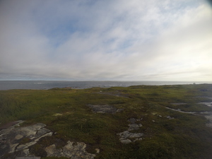 Photograph of Pinchard's Island, Newfoundland — August 21, 2017 at 9:00 AM