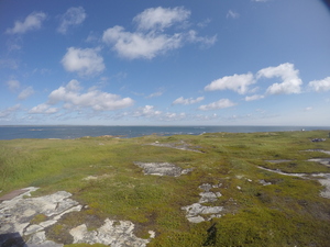 Photograph of Pinchard's Island, Newfoundland — August 21, 2017 at 11:00 AM