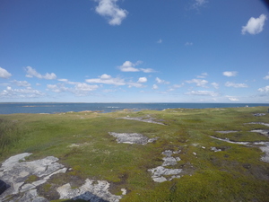 Photograph of Pinchard's Island, Newfoundland — August 21, 2017 at 1:00 PM