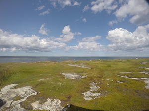Photograph of Pinchard's Island, Newfoundland — August 21, 2017 at 2:00 PM