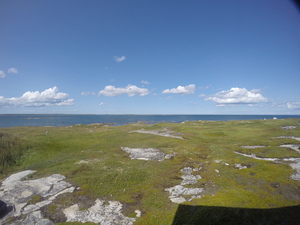 Photograph of Pinchard's Island, Newfoundland — August 21, 2017 at 3:00 PM