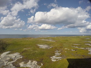 Photograph of Pinchard's Island, Newfoundland — August 21, 2017 at 4:00 PM