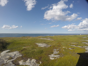 Photograph of Pinchard's Island, Newfoundland — August 21, 2017 at 5:00 PM