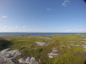 Photograph of Pinchard's Island, Newfoundland — August 21, 2017 at 6:00 PM