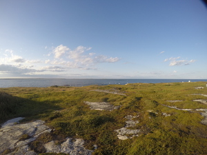 Photograph of Pinchard's Island, Newfoundland — August 21, 2017 at 7:00 PM