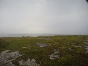 Photograph of Pinchard's Island, Newfoundland — August 22, 2017 at 9:00 AM