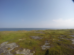Photograph of Pinchard's Island, Newfoundland — August 22, 2017 at 10:00 AM
