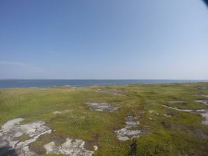 Photograph of Pinchard's Island, Newfoundland — August 22, 2017 at 11:00 AM