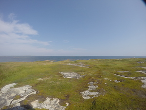 Photograph of Pinchard's Island, Newfoundland — August 22, 2017 at 12:00 PM