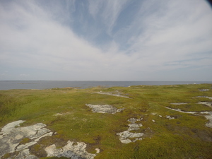 Photograph of Pinchard's Island, Newfoundland — August 22, 2017 at 1:00 PM