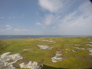 Photograph of Pinchard's Island, Newfoundland — August 22, 2017 at 2:00 PM