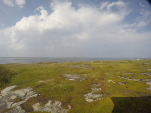 Photograph of Pinchard's Island, Newfoundland — August 22, 2017 at 4:00 PM
