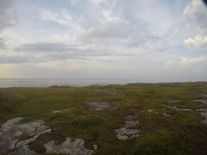 Photograph of Pinchard's Island, Newfoundland — August 22, 2017 at 7:00 PM