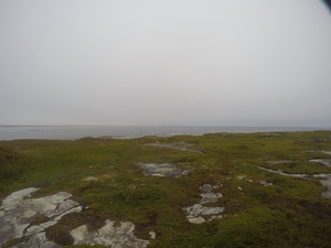 Photograph of Pinchard's Island, Newfoundland — August 23, 2017 at 8:00 AM