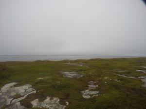 Photograph of Pinchard's Island, Newfoundland — August 23, 2017 at 9:00 AM