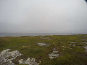 Photograph of Pinchard's Island, Newfoundland — August 23, 2017 at 10:00 AM