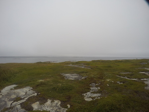 Photograph of Pinchard's Island, Newfoundland — August 23, 2017 at 11:00 AM