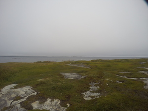 Photograph of Pinchard's Island, Newfoundland — August 23, 2017 at 12:00 PM
