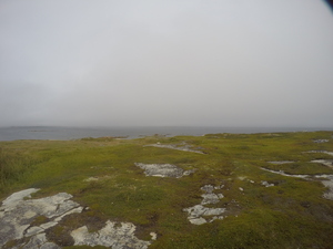 Photograph of Pinchard's Island, Newfoundland — August 23, 2017 at 1:00 PM