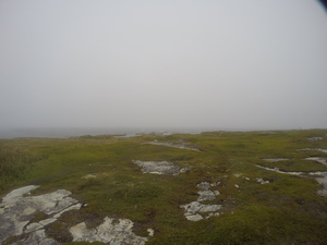 Photograph of Pinchard's Island, Newfoundland — August 23, 2017 at 2:00 PM