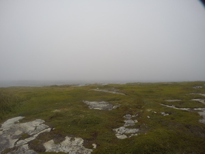 Photograph of Pinchard's Island, Newfoundland — August 23, 2017 at 3:00 PM