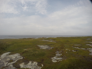 Photograph of Pinchard's Island, Newfoundland — August 23, 2017 at 4:00 PM