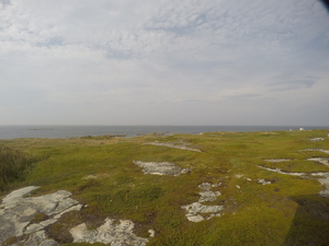 Photograph of Pinchard's Island, Newfoundland — August 23, 2017 at 5:00 PM