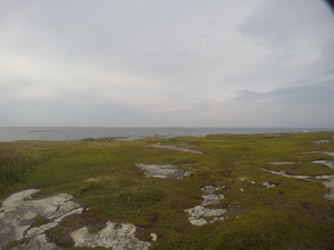 Photograph of Pinchard's Island, Newfoundland — August 23, 2017 at 6:00 PM