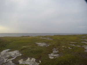 Photograph of Pinchard's Island, Newfoundland — August 23, 2017 at 7:00 PM
