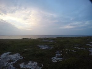 Photograph of Pinchard's Island, Newfoundland — August 23, 2017 at 8:00 PM