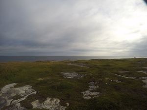 Photograph of Pinchard's Island, Newfoundland — August 24, 2017 at 7:59 AM