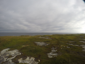 Photograph of Pinchard's Island, Newfoundland — August 24, 2017 at 9:00 AM