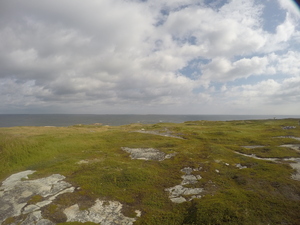 Photograph of Pinchard's Island, Newfoundland — August 24, 2017 at 10:00 AM