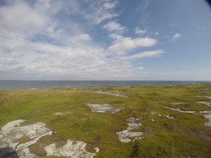 Photograph of Pinchard's Island, Newfoundland — August 24, 2017 at 11:00 AM