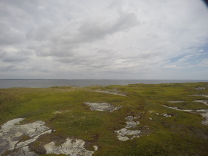 Photograph of Pinchard's Island, Newfoundland — August 24, 2017 at 12:00 PM