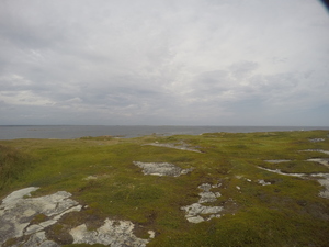 Photograph of Pinchard's Island, Newfoundland — August 24, 2017 at 1:00 PM