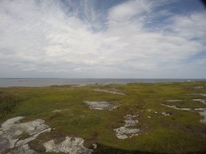Photograph of Pinchard's Island, Newfoundland — August 24, 2017 at 2:00 PM