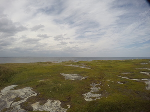 Photograph of Pinchard's Island, Newfoundland — August 24, 2017 at 3:00 PM