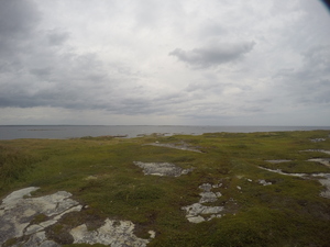 Photograph of Pinchard's Island, Newfoundland — August 24, 2017 at 4:00 PM