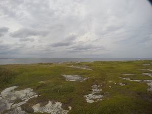 Photograph of Pinchard's Island, Newfoundland — August 24, 2017 at 5:00 PM