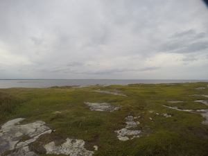 Photograph of Pinchard's Island, Newfoundland — August 24, 2017 at 6:00 PM