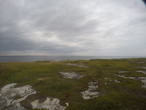 Photograph of Pinchard's Island, Newfoundland — August 24, 2017 at 7:00 PM