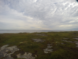 Photograph of Pinchard's Island, Newfoundland — August 25, 2017 at 8:00 AM