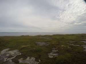 Photograph of Pinchard's Island, Newfoundland — August 25, 2017 at 9:00 AM