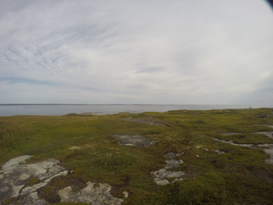 Photograph of Pinchard's Island, Newfoundland — August 25, 2017 at 10:00 AM