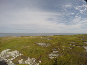 Photograph of Pinchard's Island, Newfoundland — August 25, 2017 at 11:00 AM