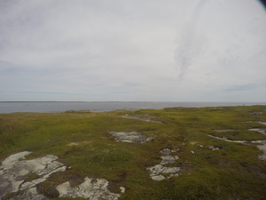 Photograph of Pinchard's Island, Newfoundland — August 25, 2017 at 12:00 PM